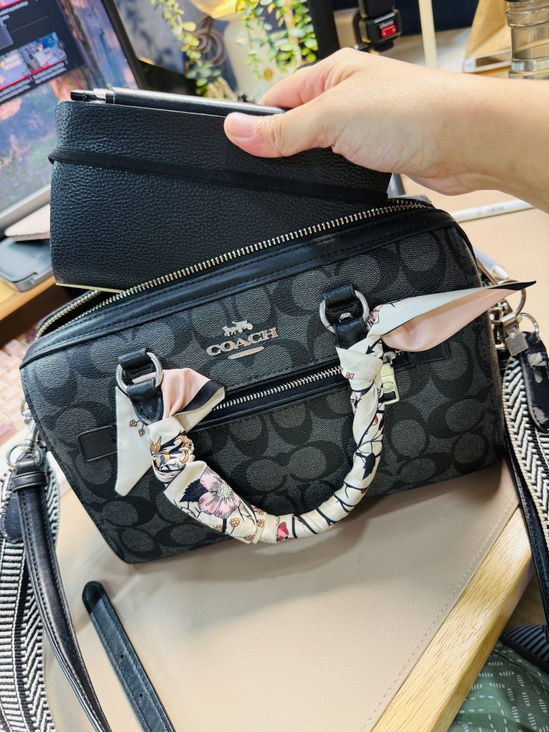 plotter narrow coach handbag